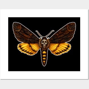 Death's Head Moth Posters and Art